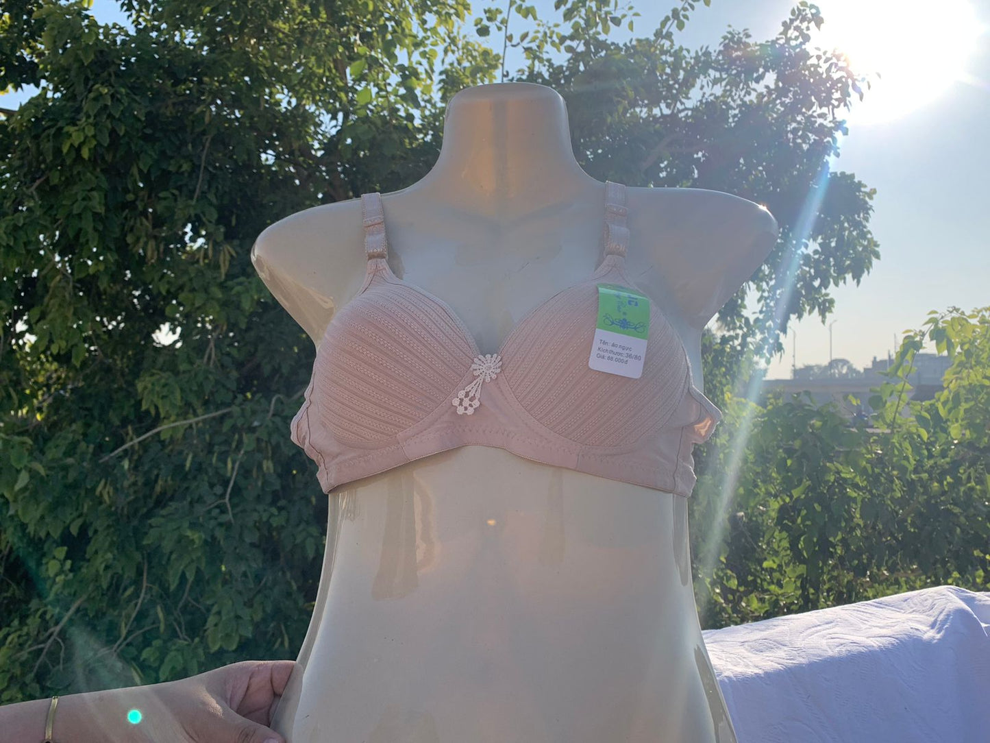 3-Piece Classic Padded Bra Set – Full Color Collection + FREE GIFT