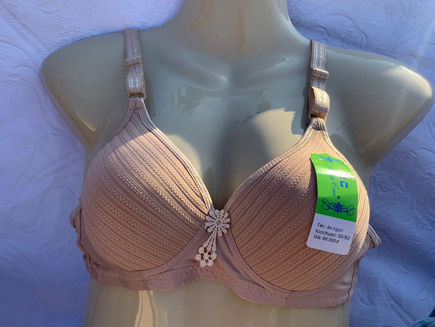 3-Piece Classic Padded Bra Set – Full Color Collection + FREE GIFT