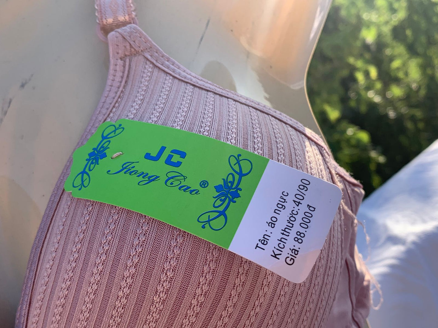 3-Piece Classic Padded Bra Set – Full Color Collection + FREE GIFT