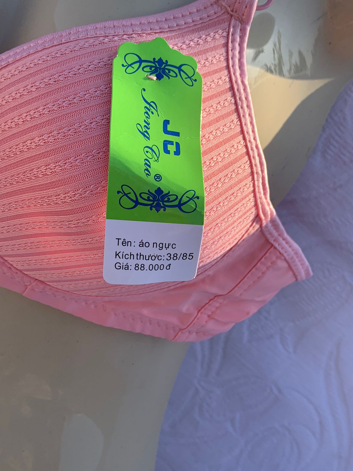 3-Piece Classic Padded Bra Set – Full Color Collection + FREE GIFT