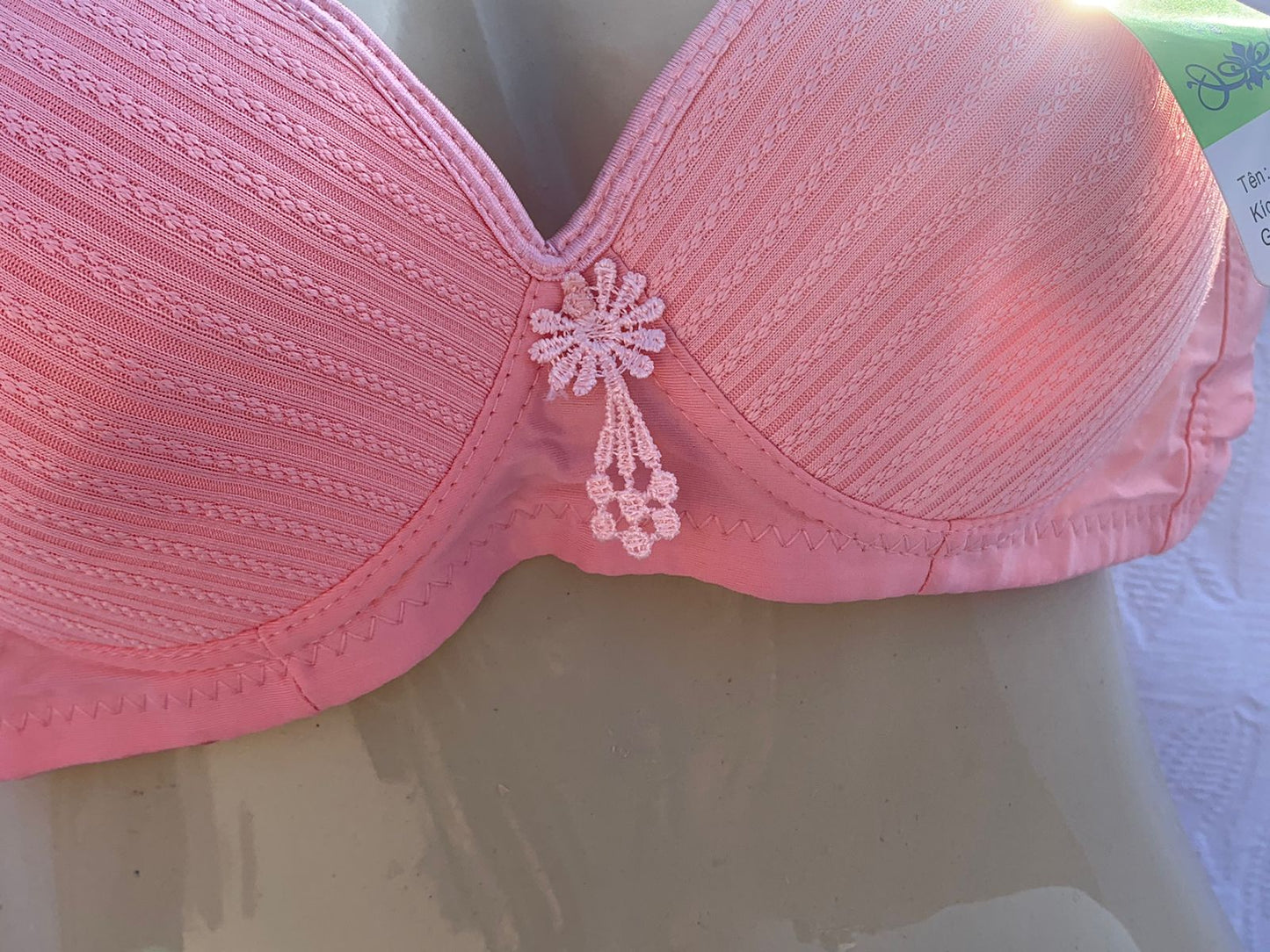 3-Piece Classic Padded Bra Set – Full Color Collection + FREE GIFT