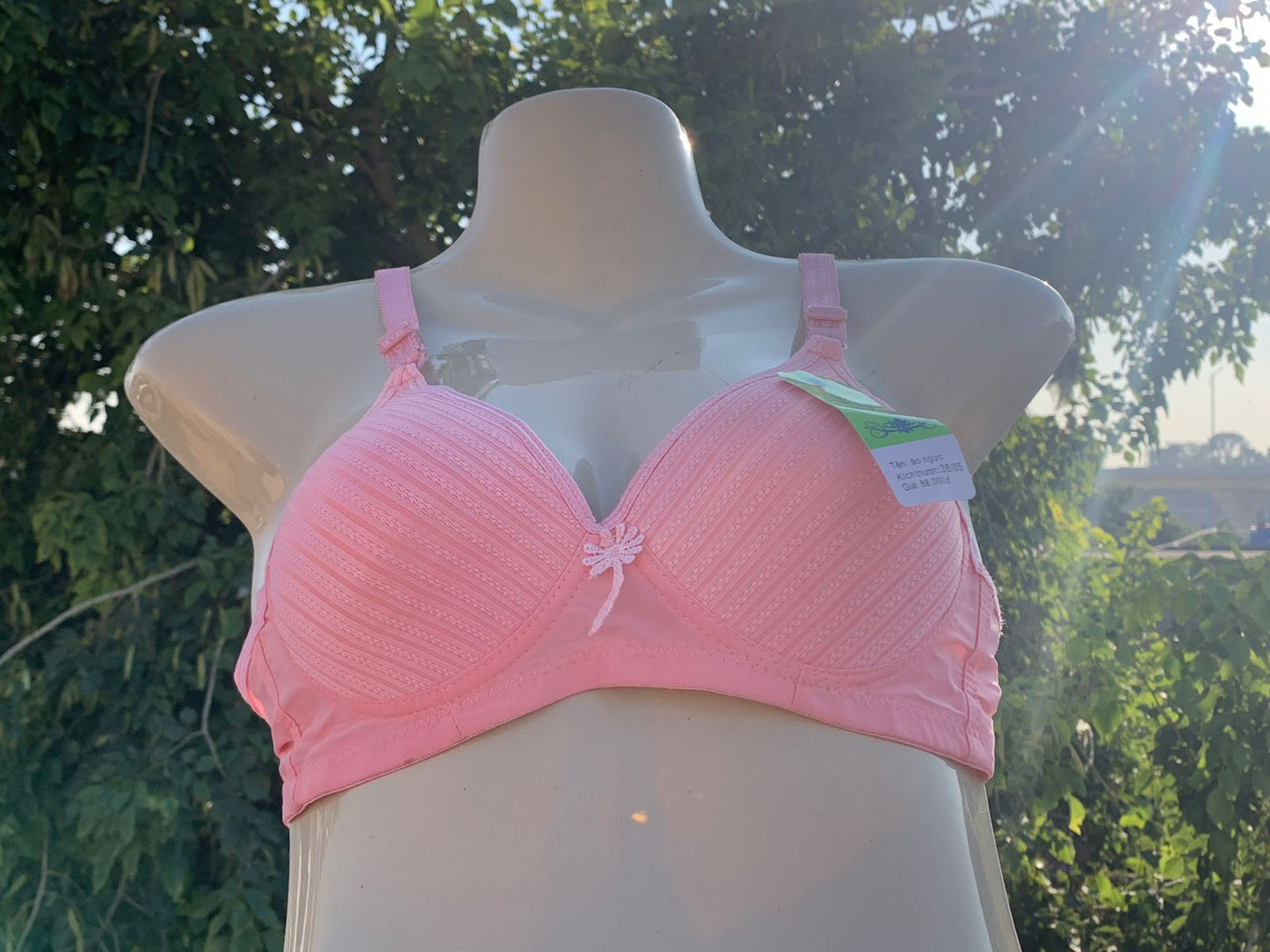 3-Piece Classic Padded Bra Set – Full Color Collection + FREE GIFT