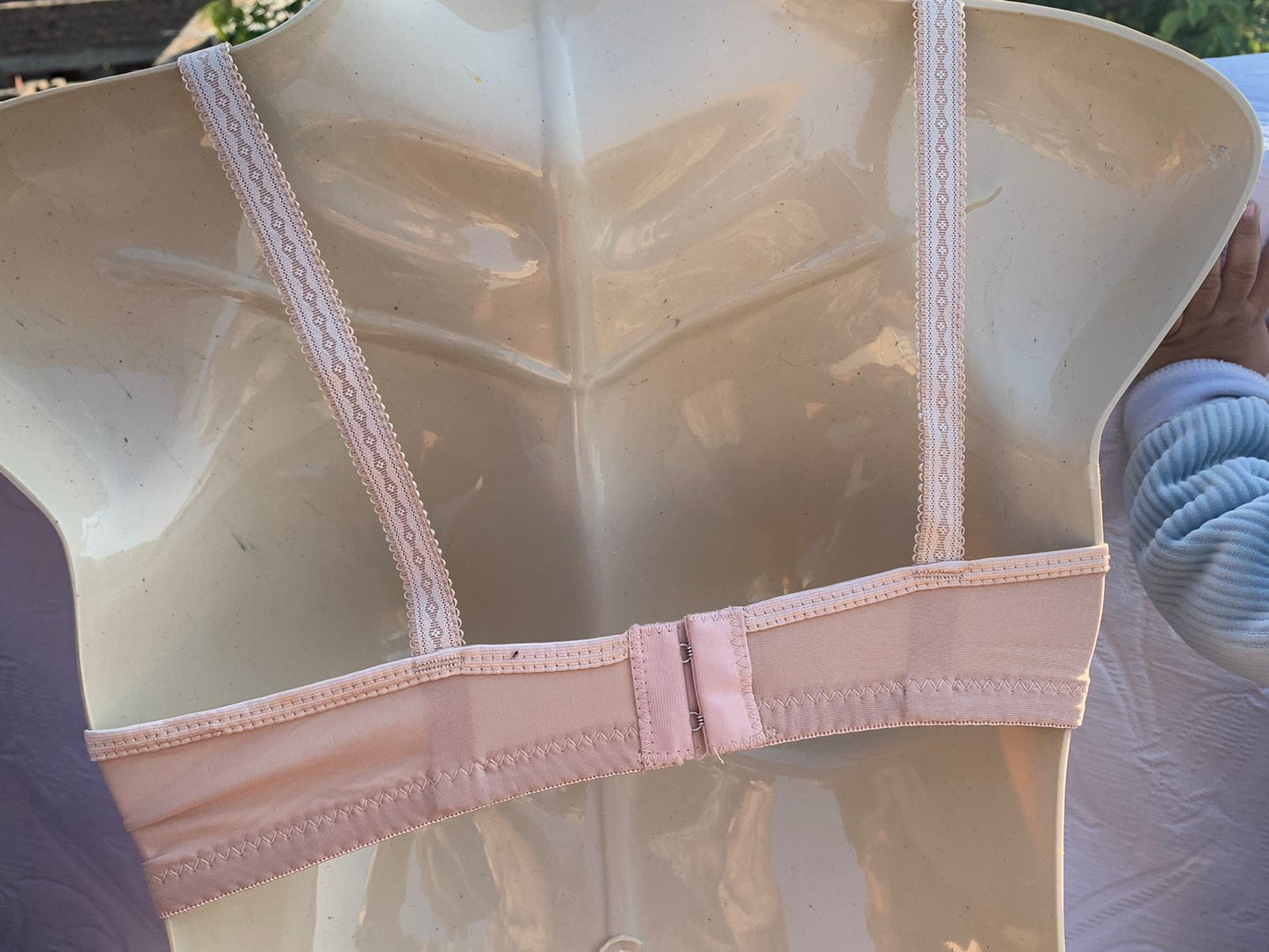 3-Piece Classic Padded Bra Set – Full Color Collection + FREE GIFT