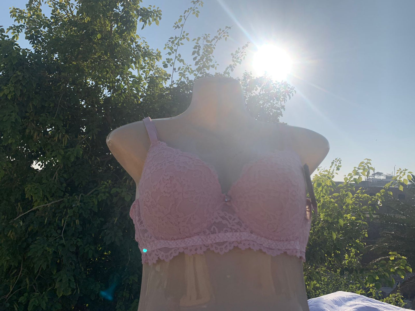 Imported Luxury Lace Push-Up Bra – Amazon Quality (White / Blue / Black / Nude / Skin / Pink / Midnight Blue)+ FREE GIFT