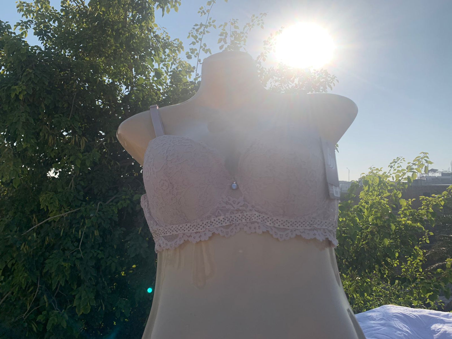 Imported Luxury Lace Push-Up Bra – Amazon Quality (White / Blue / Black / Nude / Skin / Pink / Midnight Blue)+ FREE GIFT