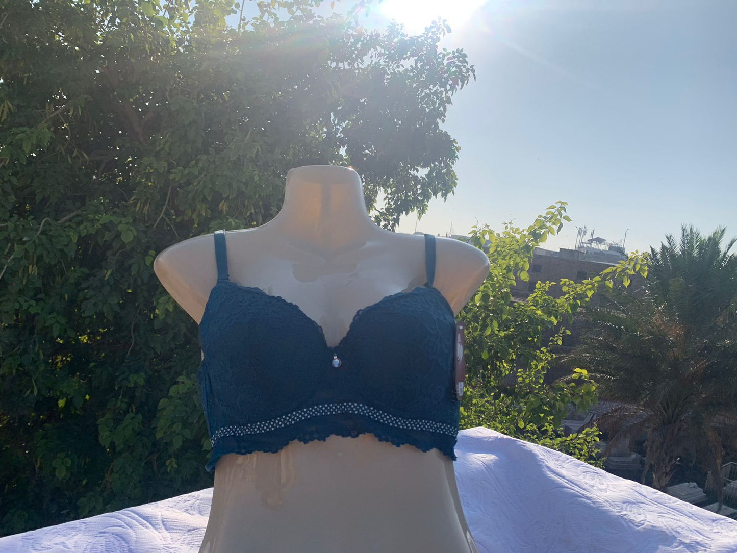 Imported Luxury Lace Push-Up Bra – Amazon Quality (White / Blue / Black / Nude / Skin / Pink / Midnight Blue)+ FREE GIFT