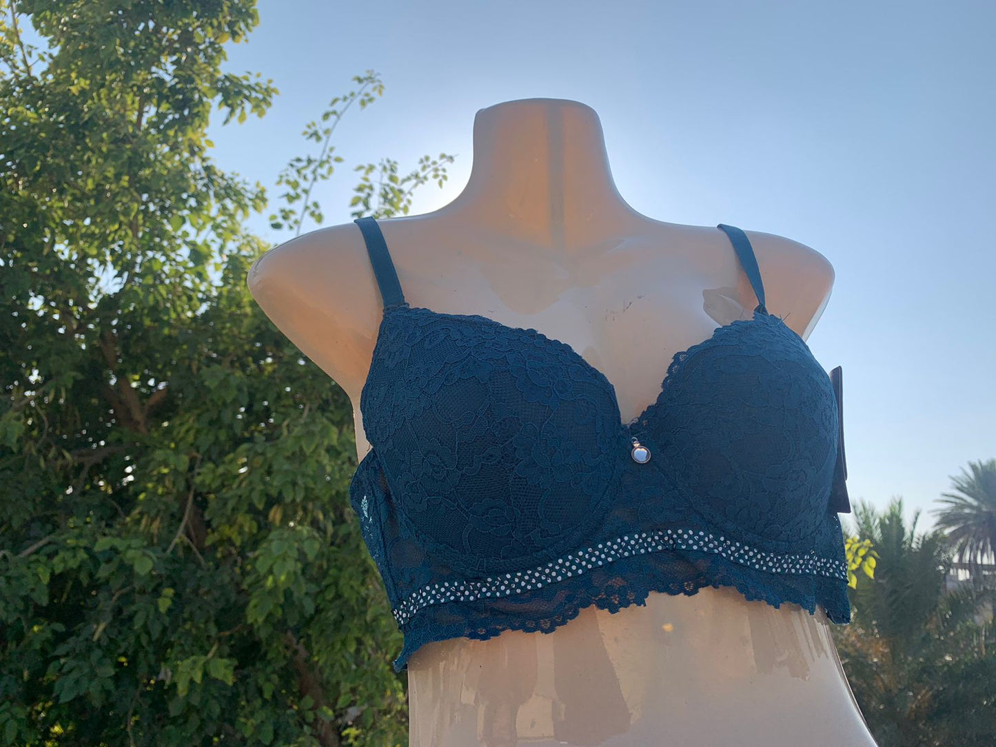 Imported Luxury Lace Push-Up Bra – Amazon Quality (White / Blue / Black / Nude / Skin / Pink / Midnight Blue)+ FREE GIFT